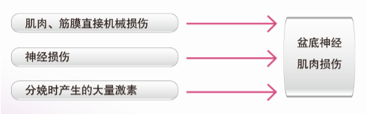 超級福音(yīn)撲面而來(lái)——進口盆底康複設備幫助您